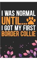 I Was Normal Until I Got My First Border Collie