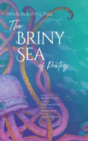 Briny Sea of Poetry
