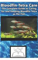 Bloodfin Tetra Care