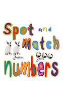 Spot and Match Numbers
