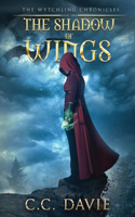 Shadow of Wings