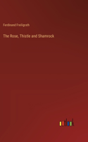 Rose, Thistle and Shamrock