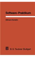 Software-Praktikum