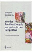 Von der Familientherapie zur systemischen Perspektive