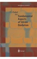 Fundamental Aspects of Silicon Oxidation