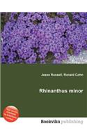 Rhinanthus Minor