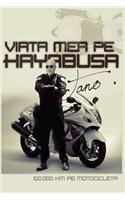 Viata Mea Pe Hayabusa