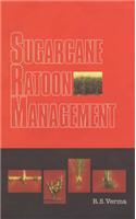 Sugarcane Ratoon Management