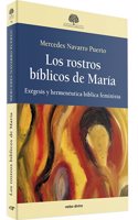 Los rostros biblicos de Maria: Exegesis y hermeneutica biblica feminista