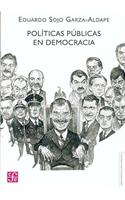 Politicas Publicas En Democracia