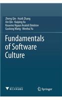 Fundamentals of Software Culture