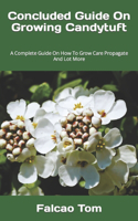 Concluded Guide On Growing Candytuft