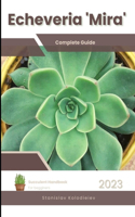 Echeveria 'Mira': Succulent Handbook: Complete Guide to Growing Succulent Plant