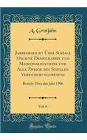 Jahresbericht Über Soziale Hygiene Demographie und Medizinalstatistik und Alle Zweige des Sozialen Versicherungswesens, Vol. 6: Bericht Über das Jahr 1906 (Classic Reprint)
