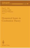 Dynamical Issues in Combustion Theory