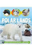 Life Cycles: Polar Lands