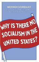 Why is There No Socialism In the United States