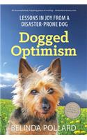 Dogged Optimism