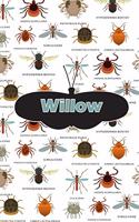 Willow: Bug Insect Handwriting for K-3 Students Practice Paper Book Notebook Journal Book 120 Pages 6x9