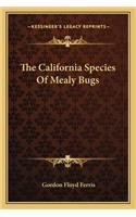 The California Species of Mealy Bugs