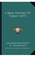 A Brief History Of Turkey (1877)