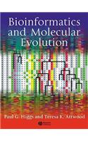 Bioinformatics and Molecular Evolution