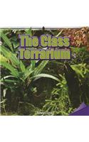 Class Terrarium