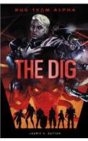 Dig