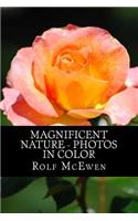 Magnificent Nature - Photos in Color