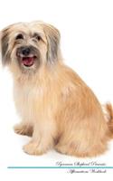 Pyrenean Shepherd Affirmations Workbook Pyrenean Shepherd Presents: Positive and Loving Affirmations Workbook. Includes: Mentoring Questions, Guidance, Supporting You.