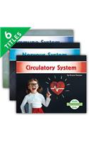 Beginning Science: Body Systems (Set)
