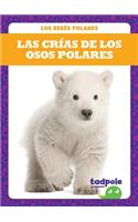 Las Crías de Los Osos Polares (Polar Bear Cubs)