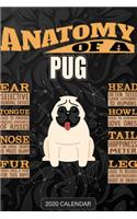 Anatomy Of A Pug