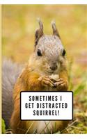 Sometimes I Get Distracted - Squirrel!: Squirrel Gifts for Woman Blank Lined Notebook Journal & Planner - 6 x 9 inches, College Ruled Lined,110 Pages