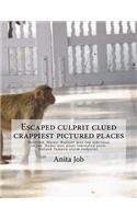 Escaped culprit clued crappiest pictured places: Portland, Maine: Radiant men lop alderman in pot. Radio men plant laminated porn. Ireland Tampon alarm endpoint.