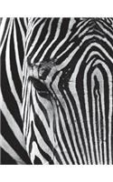 Zebra Notebook Large Size 8.5 x 11 Ruled 150 Pages