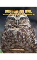 Burrowing Owl: Incredible Pictures and Fun Facts about Burrowing Owl