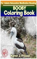 BOOBY Coloring book for Adults Relaxation Meditation Blessing: Sketches Coloring Book Grayscale Pictures