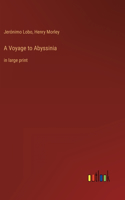 Voyage to Abyssinia