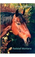 Reitstall Montana: (German)