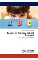 Causes of Primary School Dropout