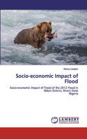 Socio-economic Impact of Flood