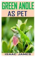 Green Anoles as Pet: Discover the complete guides on everything you need to know about green anole