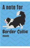 A note for Border Collie mom