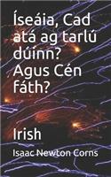 Íseáia, Cad atá ag tarlú dúinn? Agus Cén fáth?