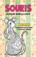 Coloriage Mandala Adulte - Conceptions pour soulager le stress des animaux - Animal - Souris