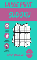 large print sudoku