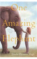 One Amazing Elephant