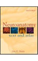 Neuroanatomy