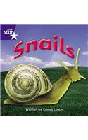 Star Phonics: Snails (Phase 4)